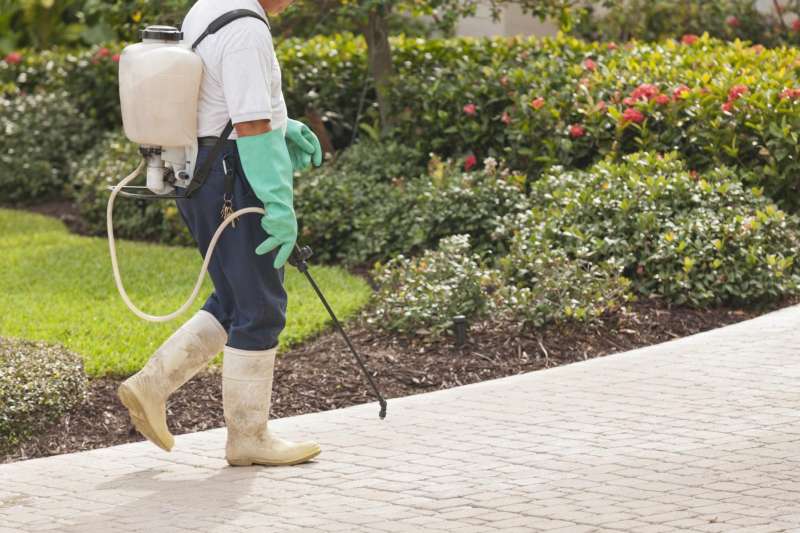 Integrated Pest Management (IPM)